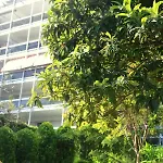 Climatise A Les Pins Dans Avec Piscine דירה *